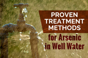 Treatment Methods for Arsenic in Well Water
